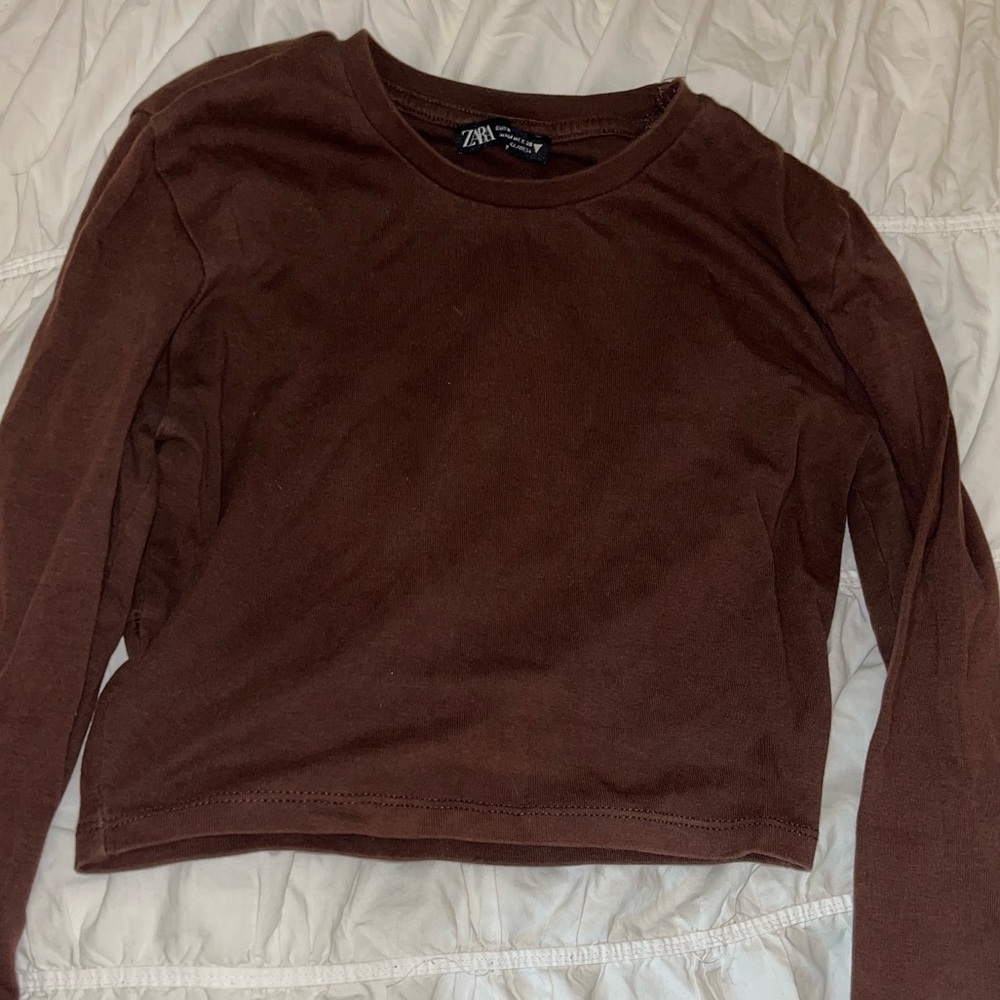 Zara Brown Fitted Crop Long Sleeve
